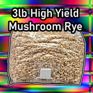 3lb Mushroom Rye | Sterile Grain For Mushrooms