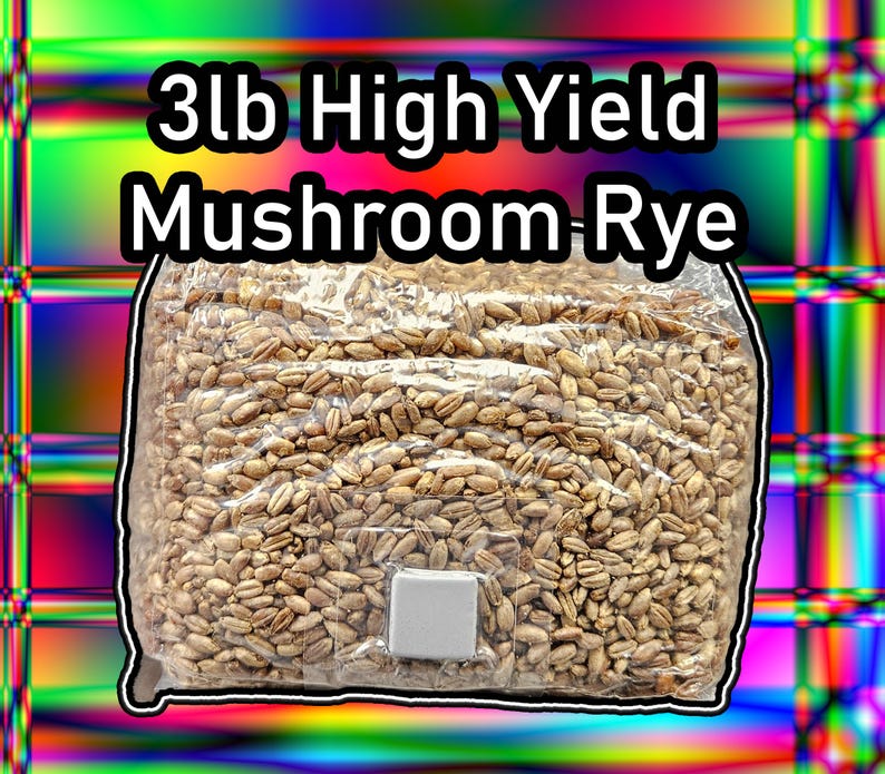 K&ouml;nnte beinhalten: Ein transparenter Plastikbeutel gef&uuml;llt mit 1,36 kg braunem Roggenkorn zum Z&uuml;chten von Pilzen. Der Beutel hat ein wei&szlig;es Etikett mit der Aufschrift "3lb High Yield Mushroom Rye".