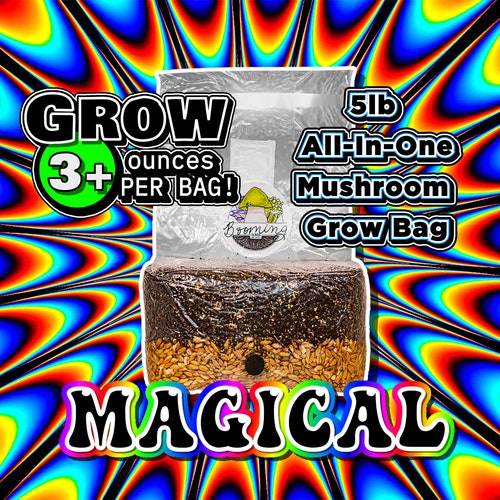 The Magical 5lb All-In-One Mushroom Grow Bag