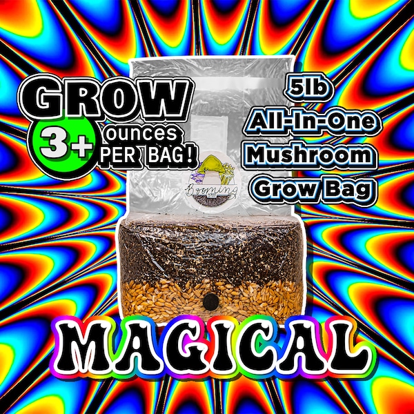 The Magical 5lb All-In-One Mushroom Grow Bag