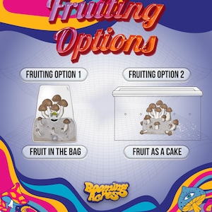 May include: Illustration of two methods for fruiting mushrooms. The first method shows a mushroom growing in a clear plastic bag. The second method shows a mushroom growing in a clear plastic container. The text "Fruiting Option 1" is above the bag and "Fruiting Option 2" is above the container. The text "Fruit in the Bag" is below the bag and "Fruit as a Cake" is below the container. The text "Booming Acres" is in the lower center of the image.