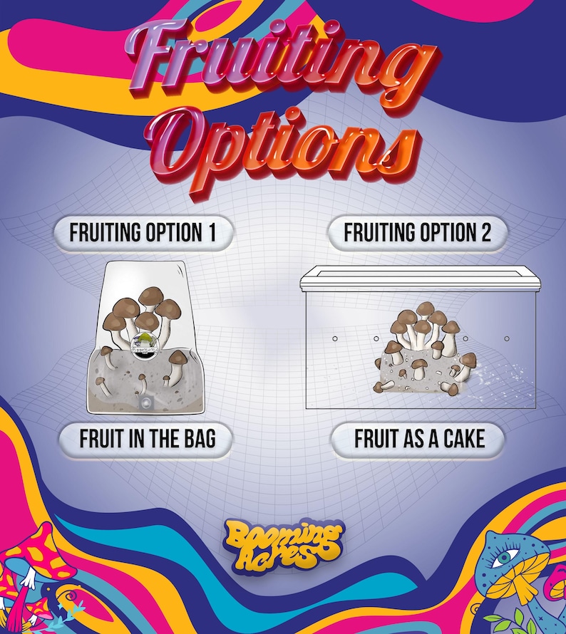 May include: Illustration of two methods for fruiting mushrooms. The first method shows a mushroom growing in a clear plastic bag. The second method shows a mushroom growing in a clear plastic container. The text "Fruiting Option 1" is above the bag and "Fruiting Option 2" is above the container. The text "Fruit in the Bag" is below the bag and "Fruit as a Cake" is below the container. The text "Booming Acres" is in the lower center of the image.