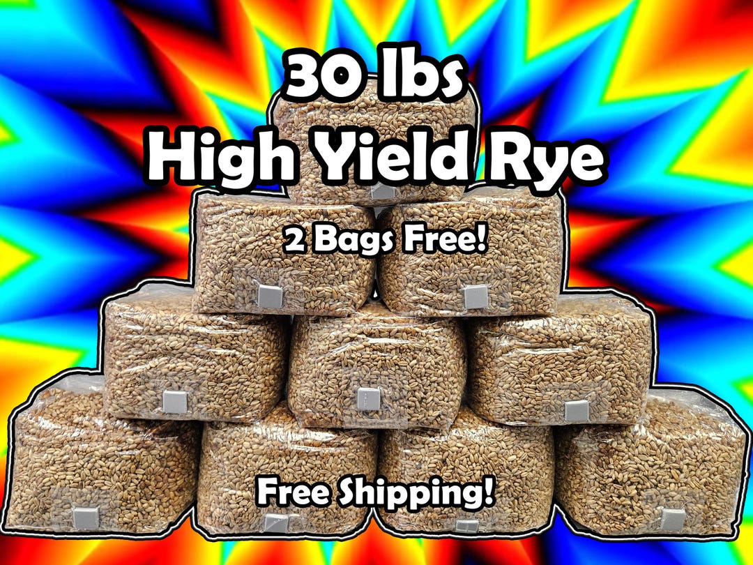 Ten 3lb Sterilized Rye Bags | High Yield Grain for Mushrooms - Etsy