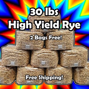 30lb Pack of 3lb Rye Bags  | Sterile Grain For Mushrooms | FREE SHIPPING