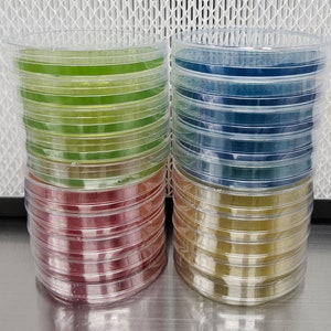 May include: Four stacks of clear plastic petri dishes with different colored agar inside. The top stack has green agar, the second stack has blue agar, the third stack has red agar, and the bottom stack has yellow agar.