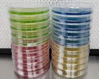 Colored PDY Agar petri dish 20 pack