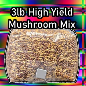 3lb BOOMING Grains Custom Oat and Milo | Sterile Grain For Mushrooms