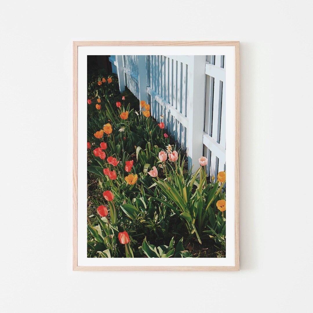 Tulips- Flower Wall Art - Floral Print - Shabby-chic - Nature Photos ...