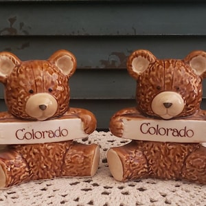 Vintage Bear Shaker Set, Colorado Bears, Souvenier Salt and Pepper Set, Teddy Bear Decor