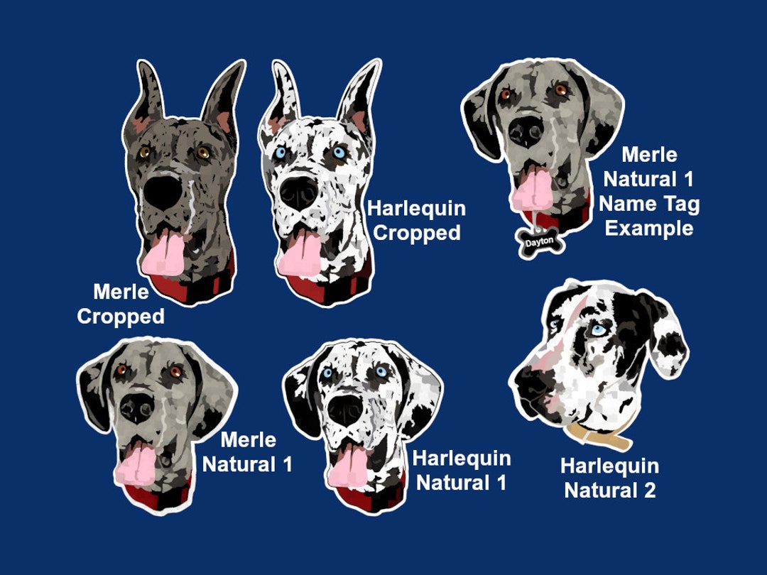 Personalized Great Dane Merle or Harlequin Sticker, Realistic Great