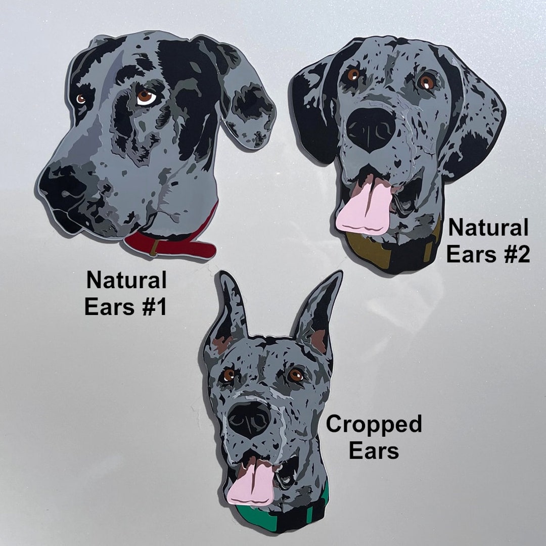 Great dane e clearance collar