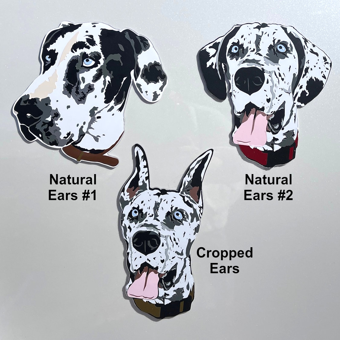 Harlequin Great Dane Magnet Great Dane Magnet Great Dane Decal