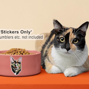 Torti Sticker, Torti decal, Siamese sticker, Siamese decal, Calico sticker, Calico decal, Laptop decal, Phone sticker, Birthday gift