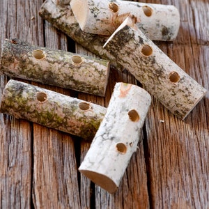 May include: A collection of eight natural birch wood sticks with holes drilled through them. The sticks are arranged on a wooden surface.
