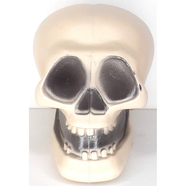 Halloween Skull Human Skeleton Prop Gray Plastic Vintage Spooky Decor