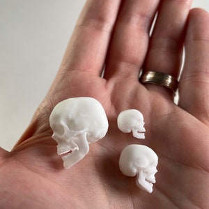 Miniature Skull - Set of 4 human mini skulls