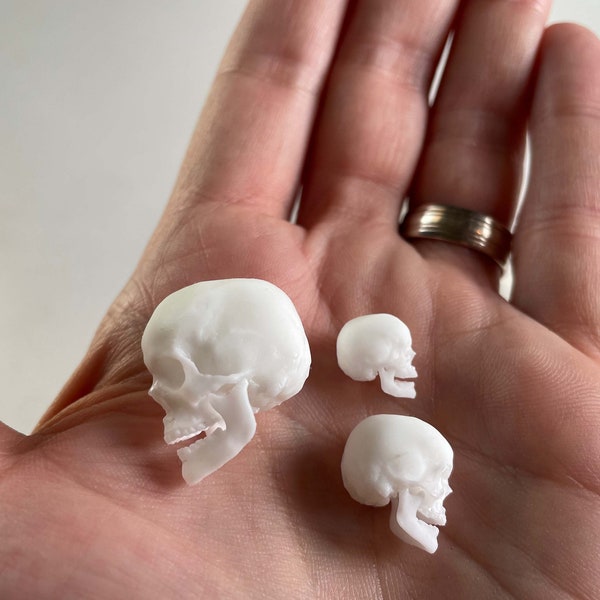 Miniature Skull - Set of 4 human mini skulls