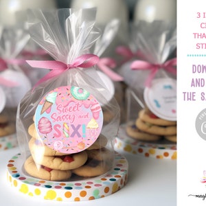 Etiqueta engomada del sexto cumpleaños de Sweet Sassy y Six girl / adorno para cupcakes, favores de cumpleaños, pegatinas / etiquetas de cumpleaños de helado de rosquilla de dulces para niñas.