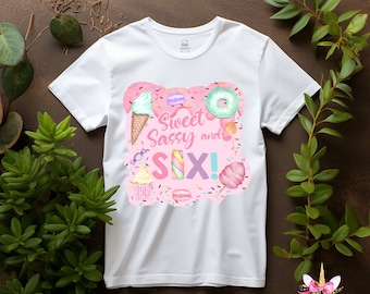 DIGITAL Sweet Sassy and Six girl birthday iron-on transfer, girl 6th birthday iron on design, sweet sassy and six, editable name and age.