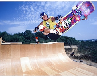 MIKE MCGILL 魚デザイン ステッカー80s Vintage Powell Peralta Mike McGill Fish skateboard sticker