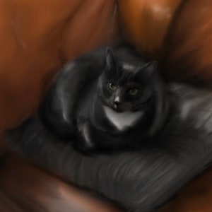 Digital Pet Portraits