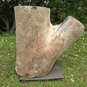 May include: A light brown tree stump with a branch extending to the right. The stump sits on a dark green mat in a grassy area, with trees in the background. The wood has a rough texture and natural grain.