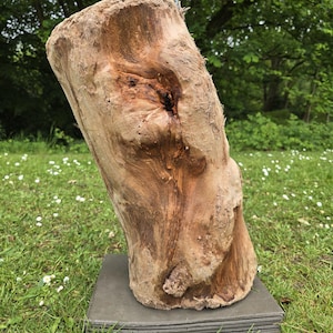 May include: A large, weathered wooden sculpture with a natural, organic form. The sculpture is a light brown colour with darker knots and grain patterns. It sits on a stack of grey rectangular tiles, placed on a grassy lawn.