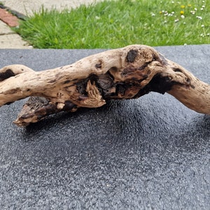 40cm long, unique piece of driftwood | home décor | craft projects | photo props | display purposes