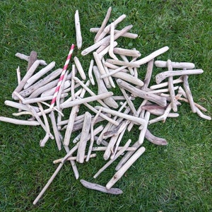 May include: A large pile of driftwood sticks in various sizes and shapes, arranged on a bed of green grass.