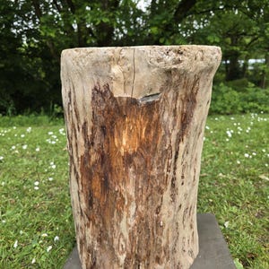 May include: A weathered, cylindrical wooden stump, possibly a tree trunk section, sits on a dark grey square base. The wood shows light tan and brown tones with visible grain and natural imperfections. The background features green grass and foliage.