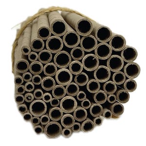 Tubos de repuesto de abejas nativas