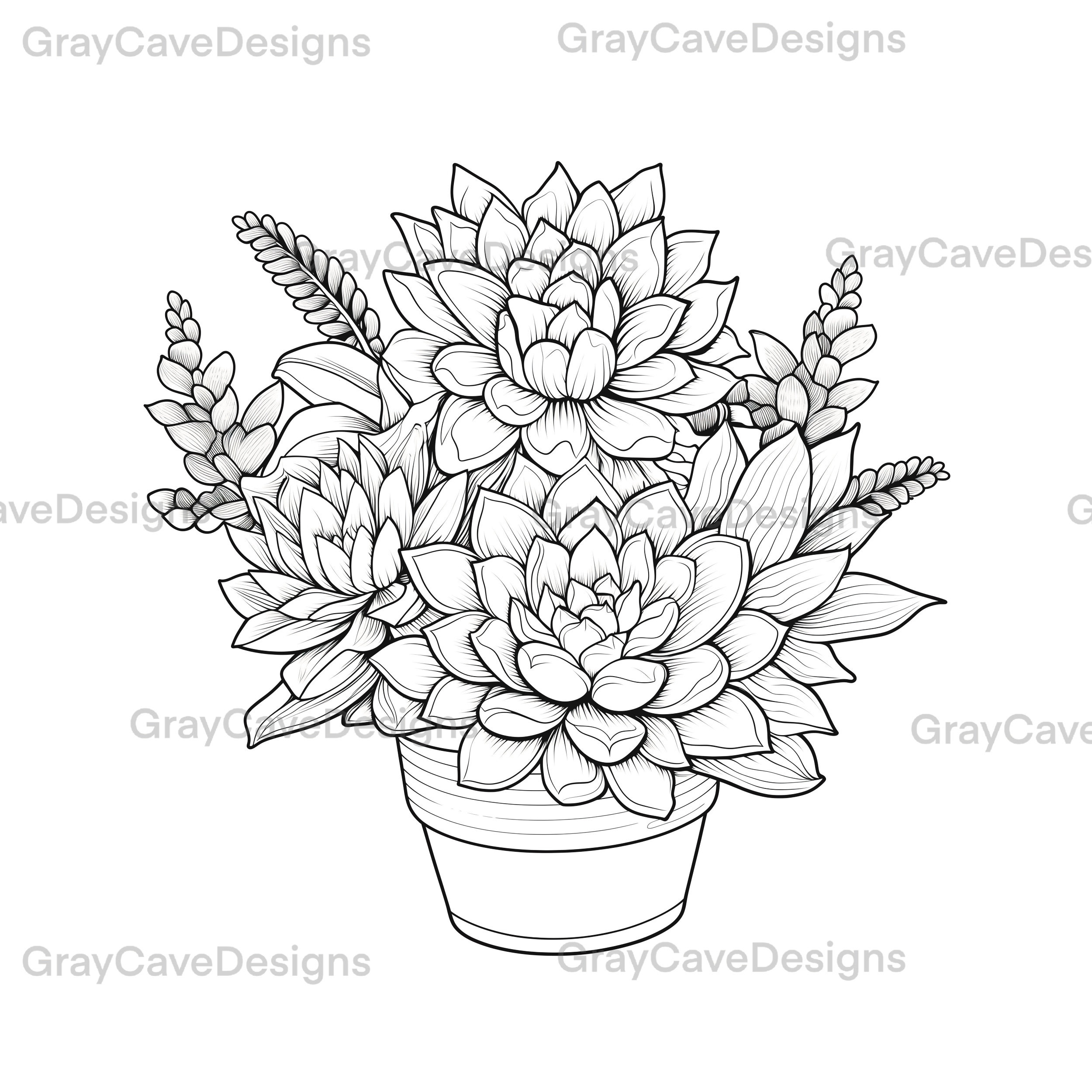20 Printable Colouring Pages Succulents Printable Colouring Book