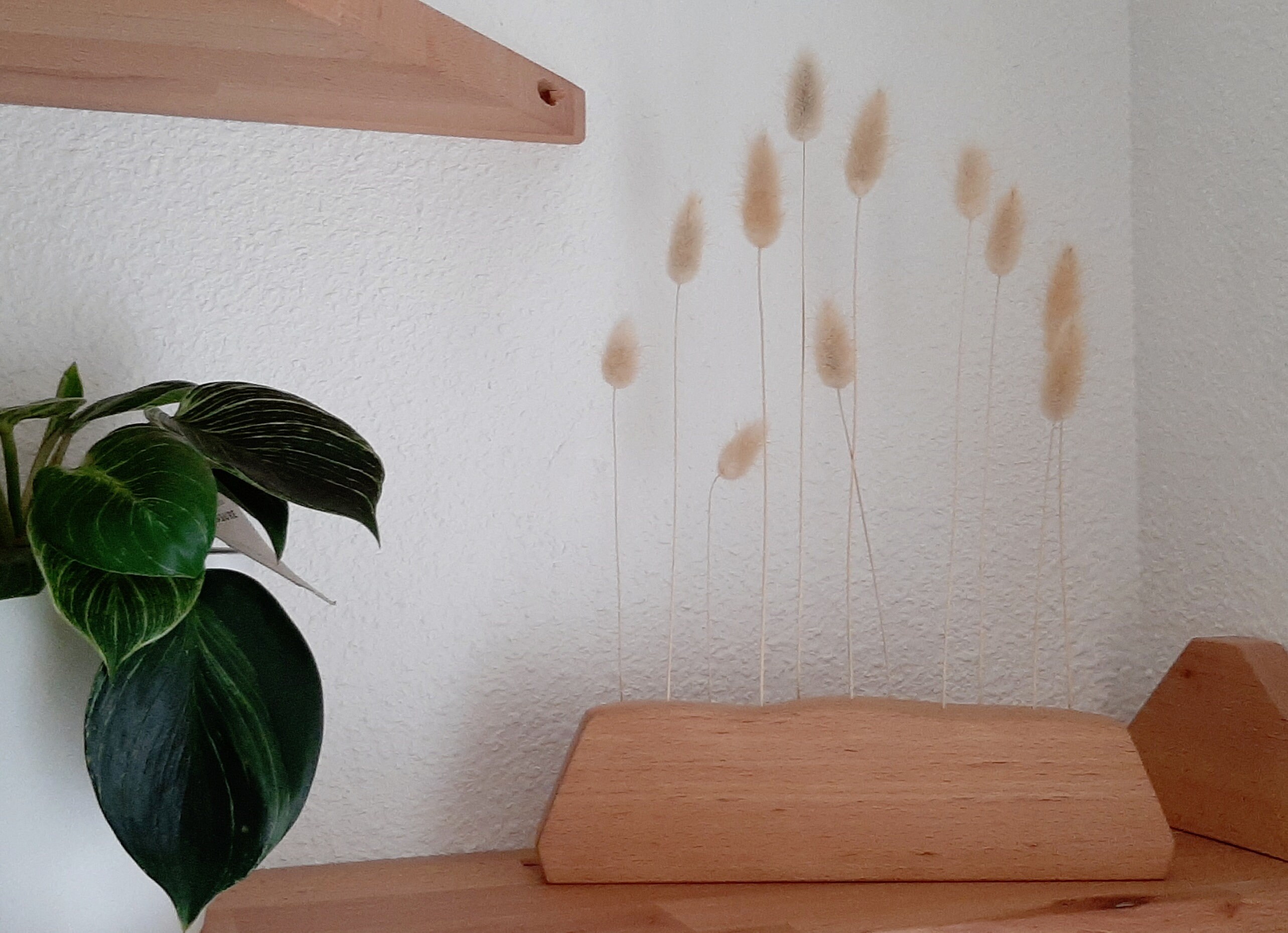 Kirra, Décoration Naturel.