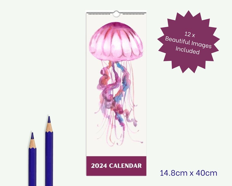 2024 Sea Life Calendar 2024 Slim Calendar Slim Wall Calendar 2024 Etsy