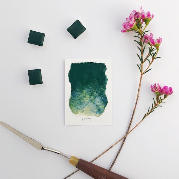 Forest | Handmade Watercolor | Vegan