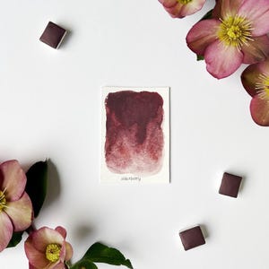 Sambuco | Acquerello fatto a mano | Vegano