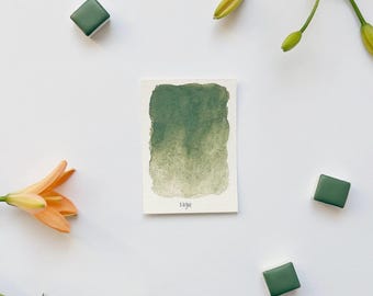 Sage | Handmade Watercolor | Vegan