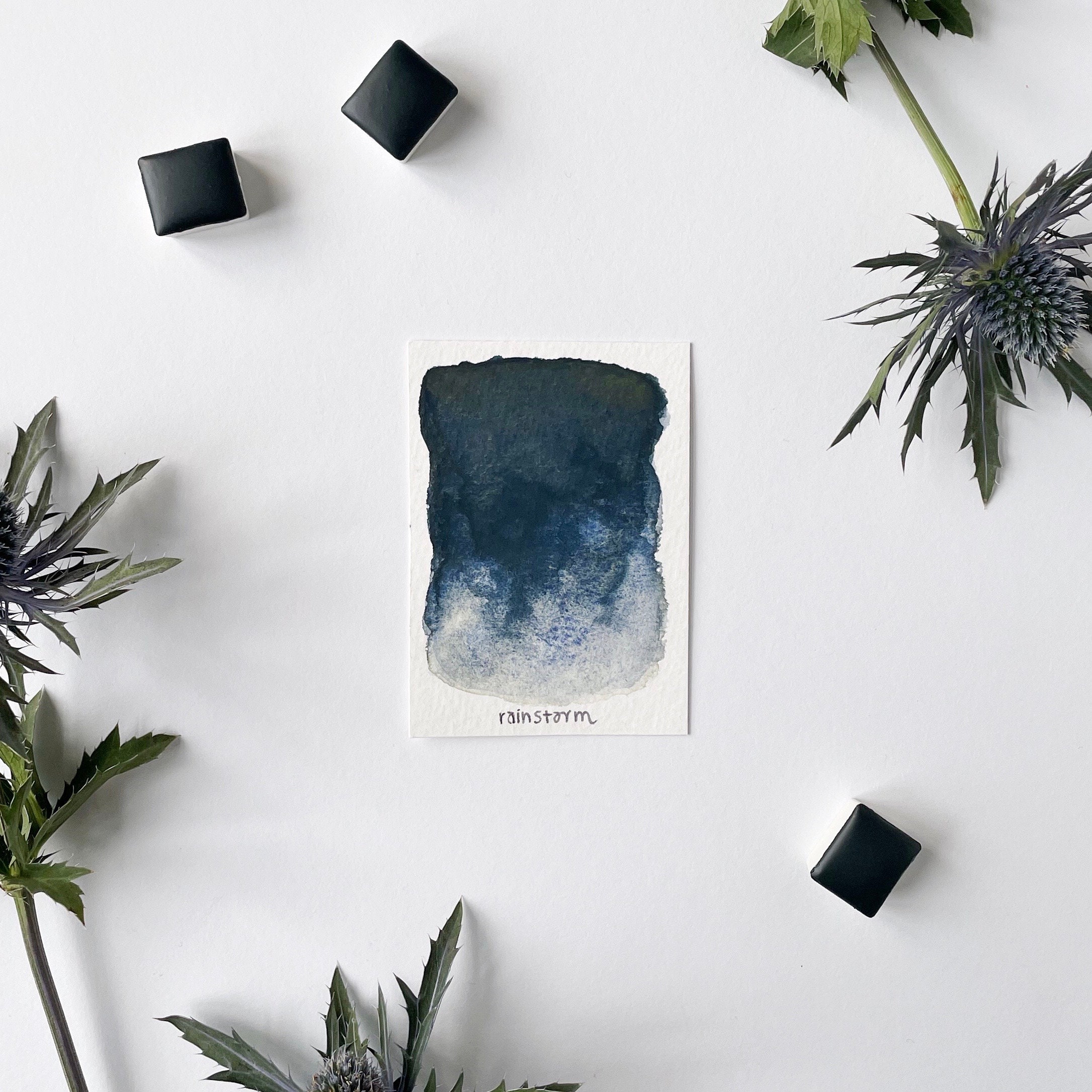 Bower Bird Aquarell-Leerpalette Mit 24 Halben Näpfen – Farbkoffer Aus Kunststoff, Zum Selbstbefüllen (schwarz)