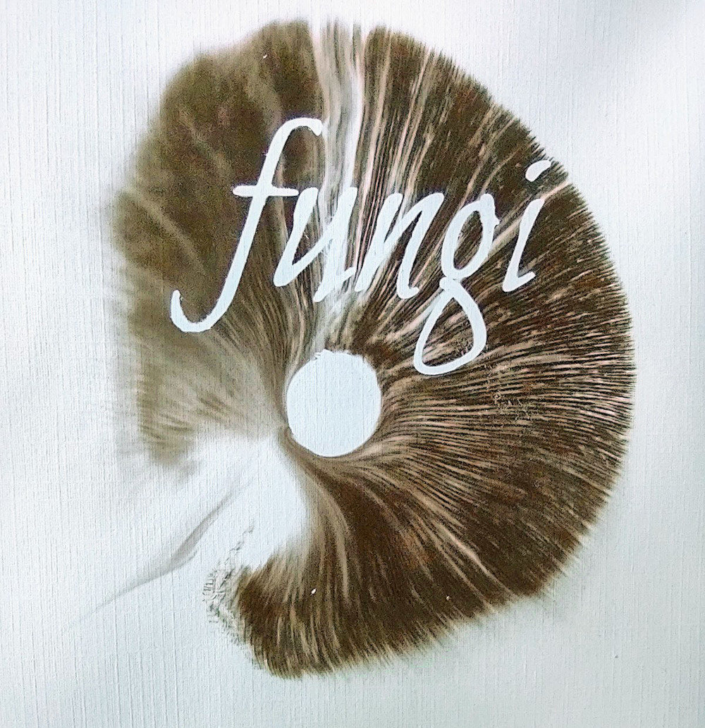 Mushroom Word Art fungi Framed 8x8 Print Etsy UK