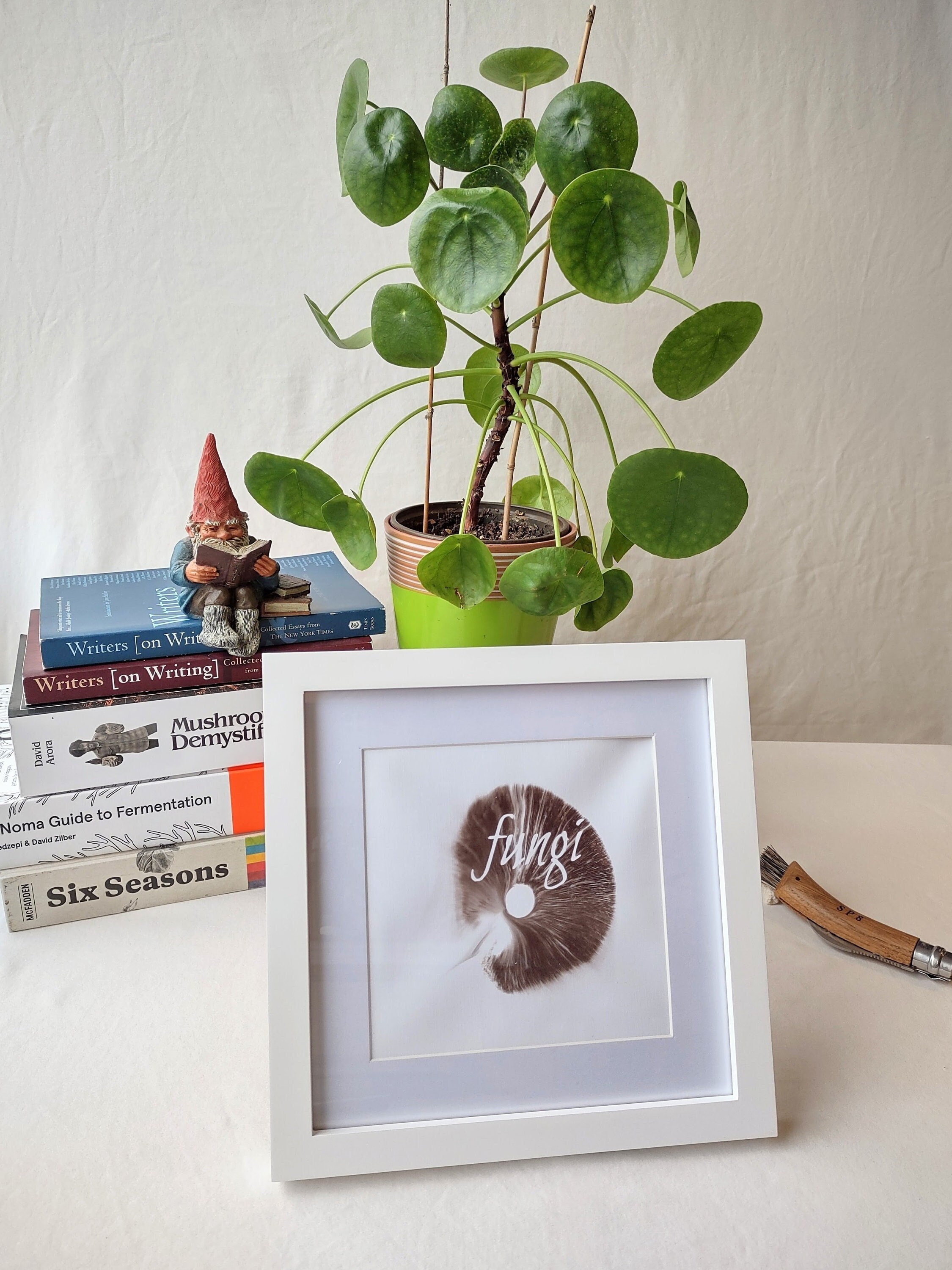 Mushroom Word Art fungi Framed 8x8 Print Etsy UK