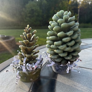 May include: Two pine cone-shaped candles. The smaller candle is a mix of green and brown, while the larger one is a solid green. Both candles sit in small, textured containers and are decorated with shredded paper.