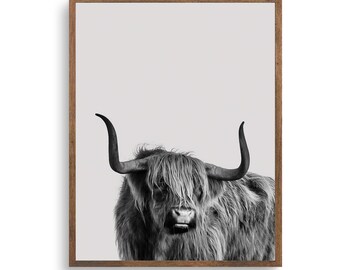 Scottish Cow Digital Print Download, Vintage Kyloe Long Haired Cattle Farmhouse Poster, Boho Animal BW Poster Printable, Scotland Cow Art