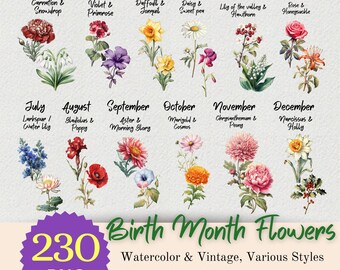 Paquete de 24 flores de nacimiento (imágenes prediseñadas PNG): Ramo floral DIY, paquete de flores personalizado para el mes de nacimiento (descarga digital)