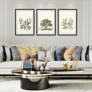May include: Three framed botanical prints of olive branches and a tree hang above a white sofa with decorative pillows. The room features gold accents, including lamps and side tables, and a black and gold coffee table. The overall style is elegant and classic.
