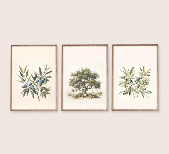 Olive Tree Print Set Of 3 Vintage Wall Art Olive Branch, Olive Green Decor Mediterranean Wall Art Printable Botanical Print, Countryside Art