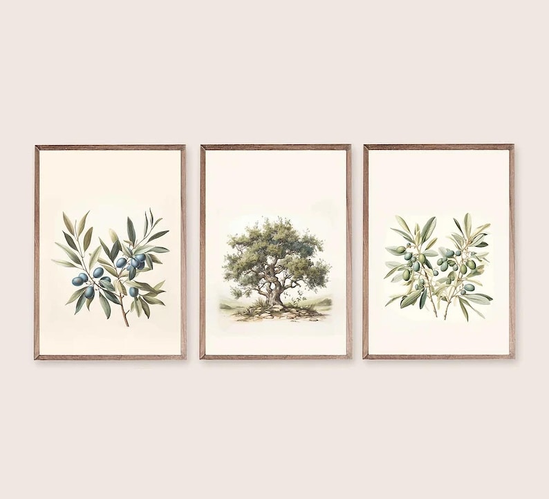 Olive Tree Print Set Of 3