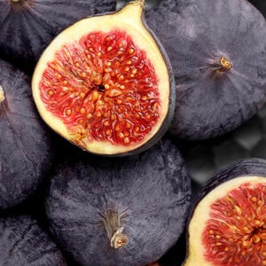 Clearance: Buy 1 get 3 free, Fig Tree starter, 2-4 inches tall, well rooted,