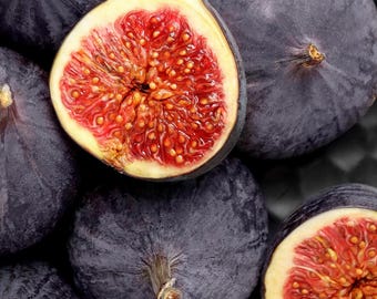 Clearance: Buy 1 get 3 free, Fig Tree starter, 2-4 inches tall, well rooted,