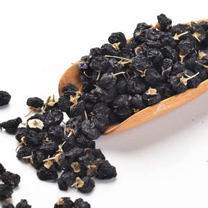 Exotic Black Goji Berry fruit tree, 1 inch tall, well-rooted