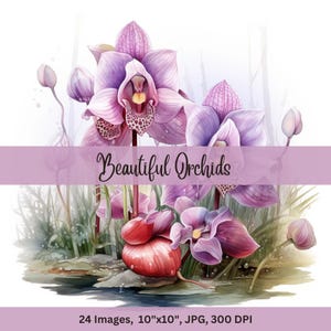 May include: A watercolor painting of pink and purple orchids with green leaves and water droplets. The orchids are in bloom and have a delicate, feminine appearance. The painting is set against a white background.